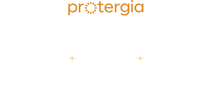 Protergia Christmas Village